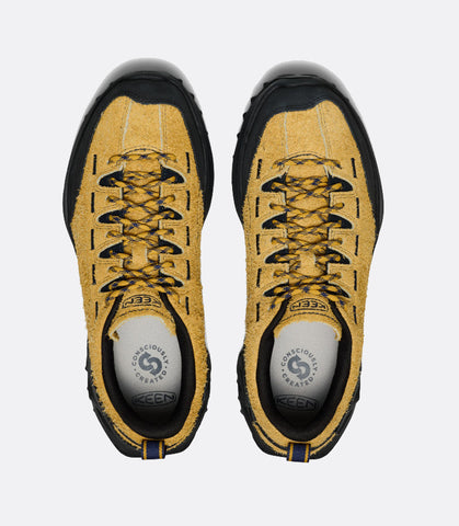 Jasper Zionic Lemon Curry